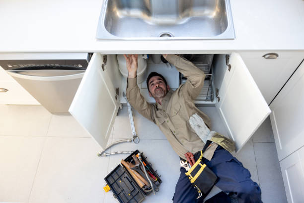 Best Clogged Drain Plumber  in Vley, AL