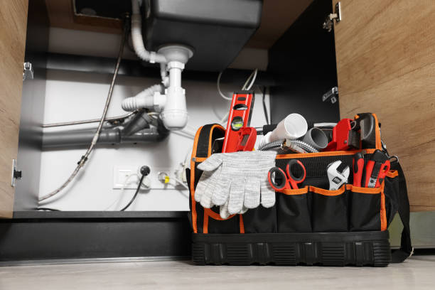 Best Septic Systems  in Vley, AL